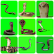 VFX Snakes Effect Videos - Androidアプリ