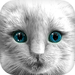 Cover Image of Download My Kitten (White Outfit) 1.4 APK