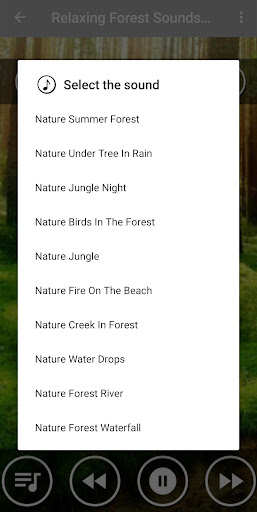 Forest Sound Nature and Sleep Screen 2