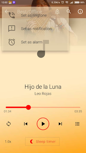 Pan Flute Instrument Leo Rojas