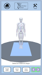 Yoga Anatomy Viewer