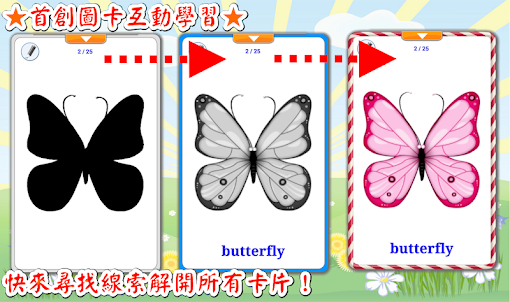 昆蟲學習卡 : 英語學習