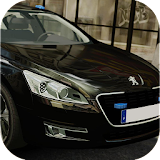 Car Driving Simulator Peugeot icon