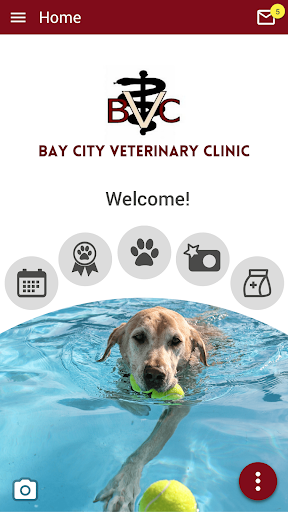 Bay City Vet and Equine