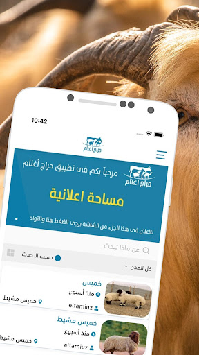حراج أغنام Screen 3