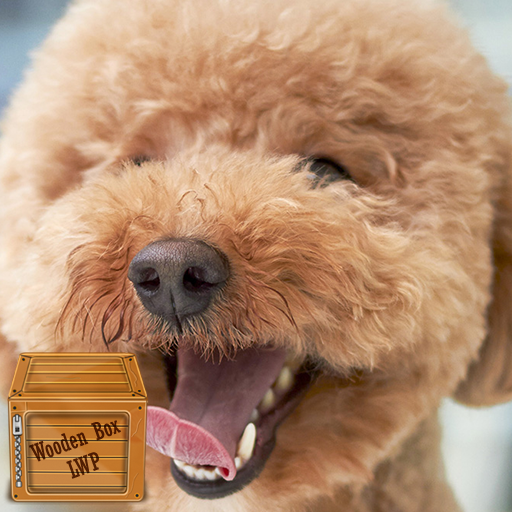 smile dog wallpaper logo