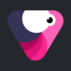 Velomingo: Velocity Edit Maker - Apps On Google Play