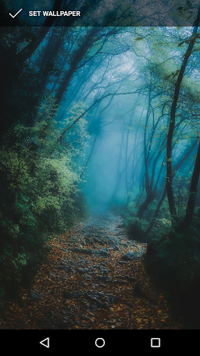 Mist Wallpapers Screen 3
