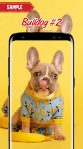 Imágen 2 Bulldog Wallpaper android