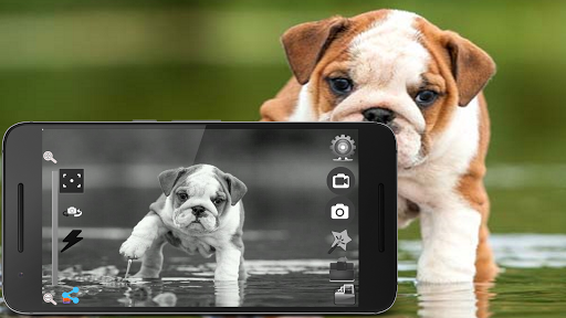 Black and White Camera Screen 2
