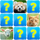 Matching Game: Animals icon