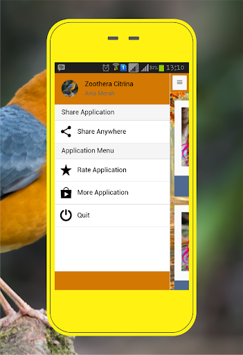 Zoothera Citrina Screen 2