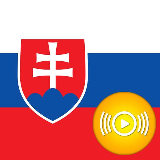 Logo Sk Radio Pro