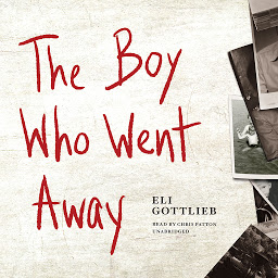 Icon image The Boy Who Went Away: A Novel