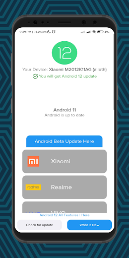 Android 12 Updater Screen 2