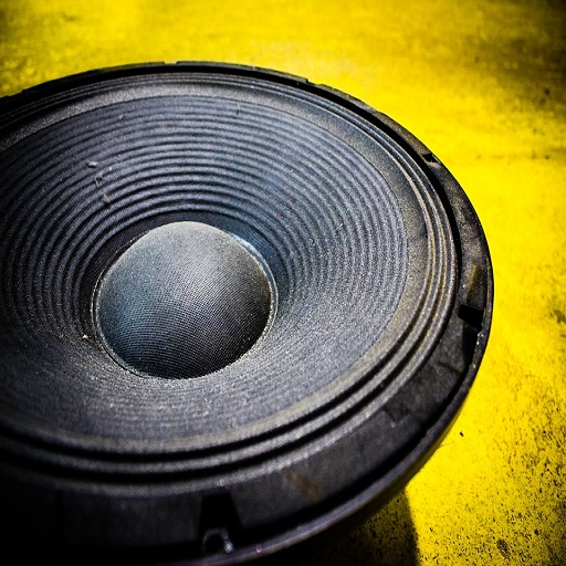 Bass Boom Sound logo
