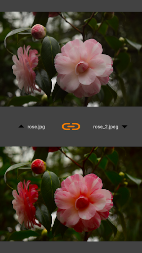 VES - Image and Photo Compare Screen 3