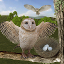 下载 Wild Owl Bird Family Survival: Bird Simul 安装 最新 APK 下载程序