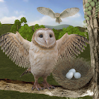 Wild Owl Bird Family Survival: Bird Simulator 3.0