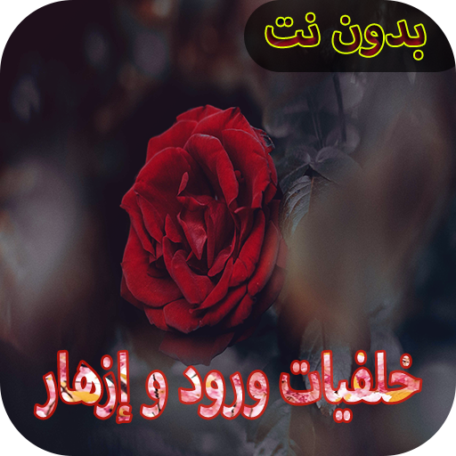 com.codev.flower_wallpaper Windows'ta İndir