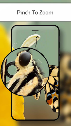 Android application Digital Microscope Zoom Editor screenshort