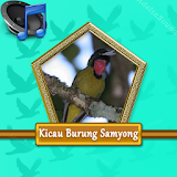 Master Burung Samyong Mp3 icon