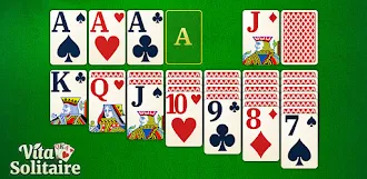 Game screenshot Vita Solitaire for Seniors mod apk
