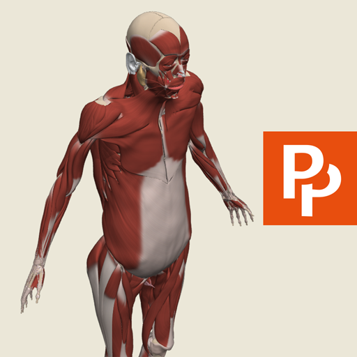 Primal's 3D Whole body 3.8.1 Icon