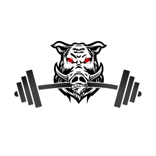 BOAR3 logo