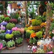 various flower plants