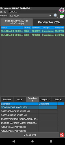 Consulta pedimentos SIPED screenshot 3
