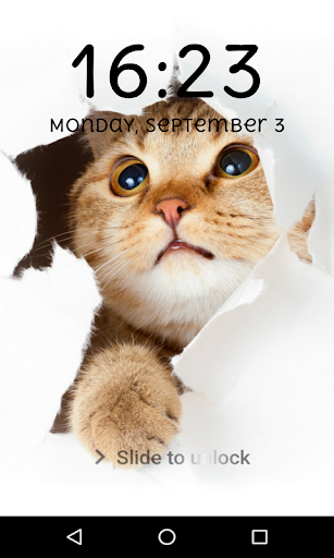 Funny Lock Screen Pattern Passcode