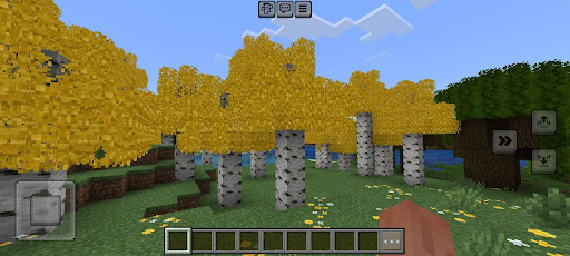 Minecraft Shaders Texture Pack