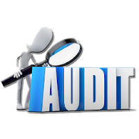 Learn Auditing