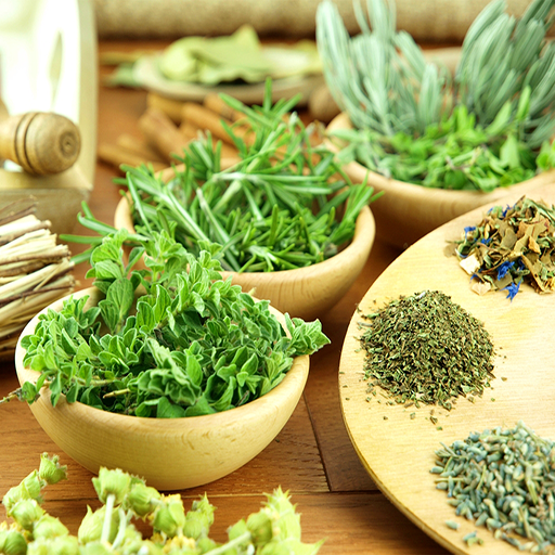 Herbs and Use (Offline) logo