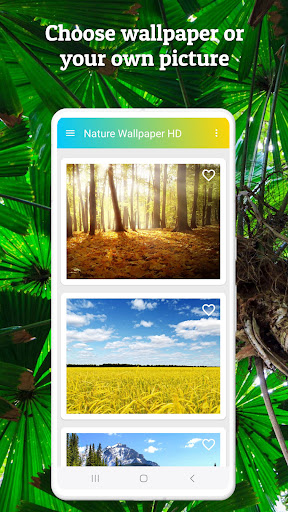 Nature Wallpaper HD Screen 3