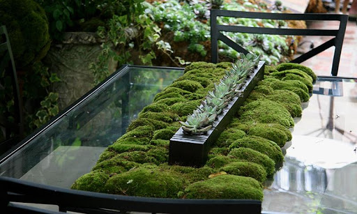 Small Garden Ideas Screenshot 4 - AppWisp.com