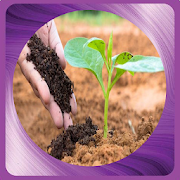 Learn to make organic fertilizer