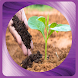 有機肥料を作ることを学ぶ