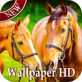 Horse HD Live Wallpaper icon