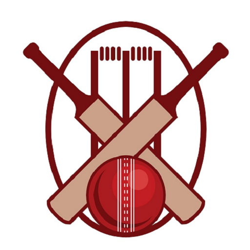 Super Over Sports Academy logo