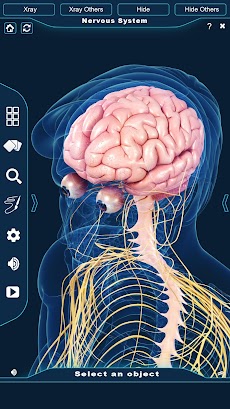 Nervous System Anatomy Pro.のおすすめ画像2