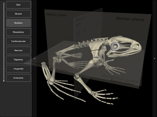 3D Frog Anatomy screenshot 23