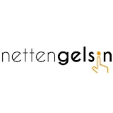 Nettengelsin.com icon