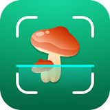 Mushroom ID: Fungi Identifier icon