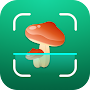 Mushroom ID: Fungi Identifier