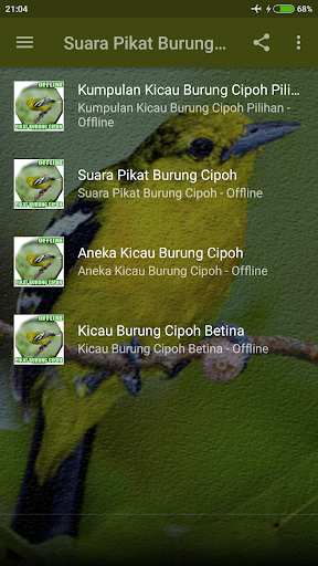 Suara Pikat Burung Cipoh Ampuh Screen 2