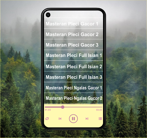 Android application Master Kicau Pleci Juara 2024 screenshort