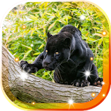 Panther Black Jaguar LWP icon