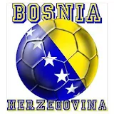Fudbal Bosna i Hercegovina icon